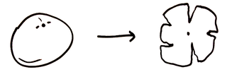 Illustration for article titled A 19th Century Math Genius Taught Us The Best Way To Hold Pizza